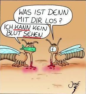 Modalverben
