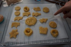 Lễ Giáng Sinh / Weihnachten 2017_23