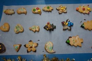 Lễ Giáng Sinh / Weihnachten 2017_51