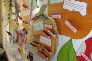 Ngày mở cửa / Tag der offenen Tür / Open house Germancenter-ST_23